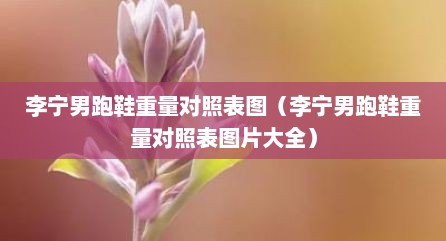 李宁男跑鞋重量对照表图（李宁男跑鞋重量对照表图片大全）