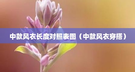 中款风衣长度对照表图（中款风衣穿搭）