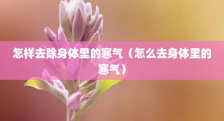 怎样去除身体里的寒气（怎么去身体里的寒气）