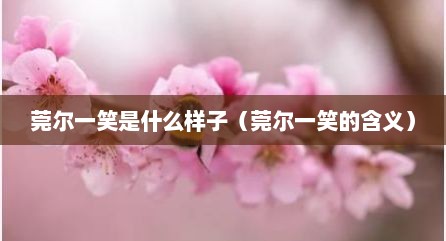 莞尔一笑是什么样子（莞尔一笑的含义）