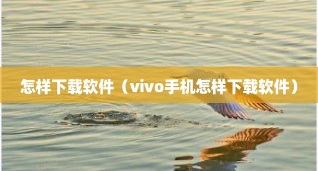 怎样下载软件（vivo手机怎样下载软件）