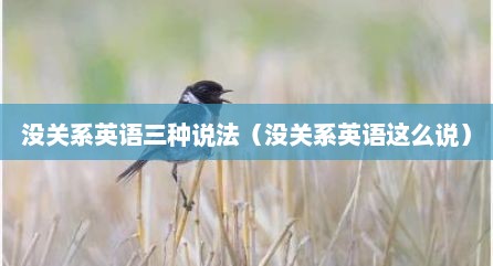 没关系英语三种说法（没关系英语这么说）