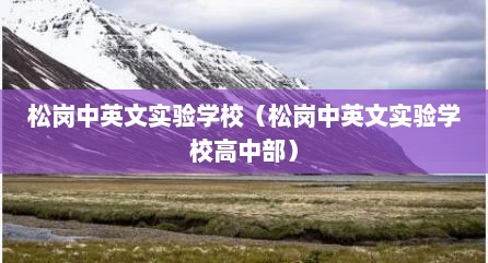 松岗中英文实验学校（松岗中英文实验学校高中部）