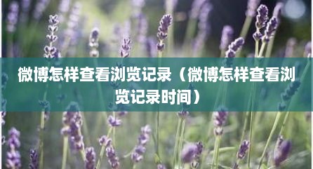 微博怎样查看浏览记录（微博怎样查看浏览记录时间）