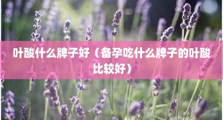 叶酸什么牌子好（备孕吃什么牌子的叶酸比较好）