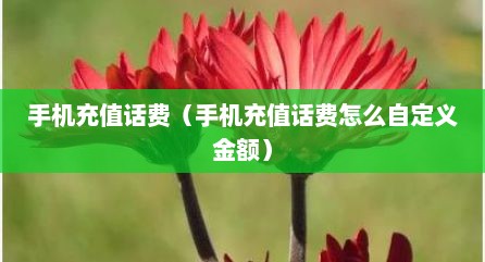 手机充值话费（手机充值话费怎么自定义金额）