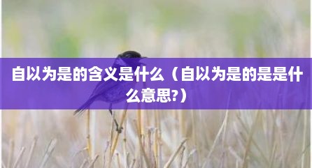 自以为是的含义是什么（自以为是的是是什么意思?）