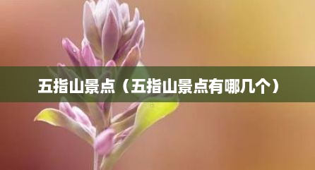 五指山景点（五指山景点有哪几个）