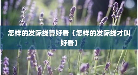 怎样的发际线算好看（怎样的发际线才叫好看）