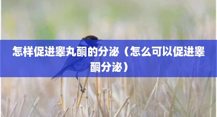 怎样促进睾丸酮的分泌（怎么可以促进睾酮分泌）