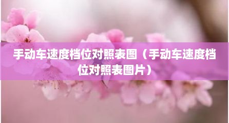 手动车速度档位对照表图（手动车速度档位对照表图片）