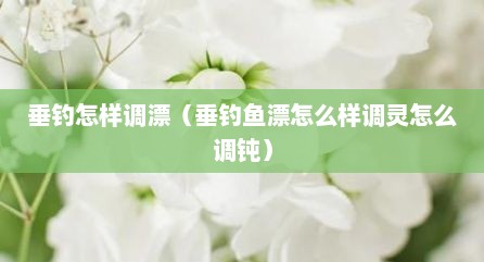 垂钓怎样调漂（垂钓鱼漂怎么样调灵怎么调钝）