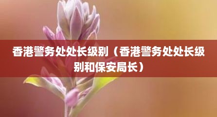 香港警务处处长级别（香港警务处处长级别和保安局长）