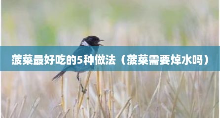 菠菜最好吃的5种做法（菠菜需要焯水吗）