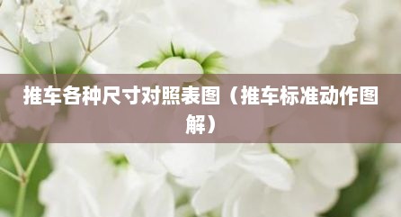 推车各种尺寸对照表图（推车标准动作图解）