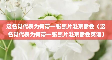 这名党代表为何带一张照片赴京参会（这名党代表为何带一张照片赴京参会英语）