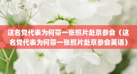 迟名党代表为何带一张照片赴京参会（迟名党代表为何带一张照片赴京参会英语）