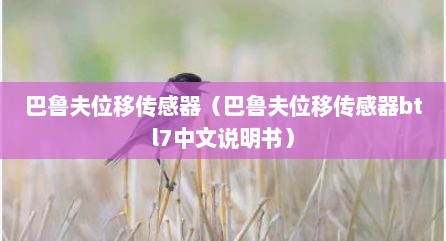 巴鲁夫位移传感器（巴鲁夫位移传感器btl7中文说明书）