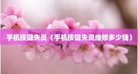 手机按键失灵（手机按键失灵维修多少钱）