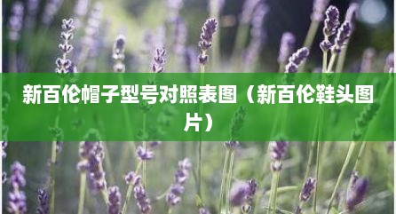 新百伦帽子型号对照表图（新百伦鞋头图片）