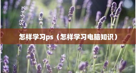 怎样学习ps（怎样学习电脑知识）
