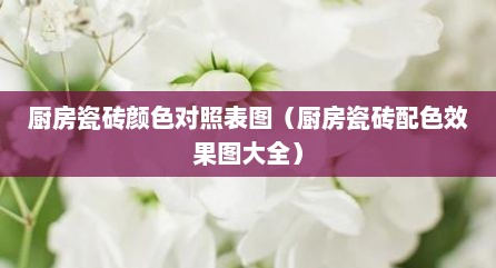 厨房瓷砖颜色对照表图（厨房瓷砖配色效果图大全）