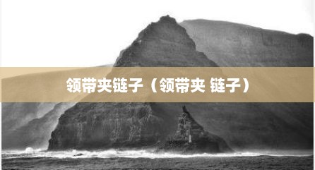 领带夹链子（领带夹 链子）