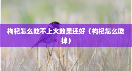枸杞怎么吃不上火效果还好（枸杞怎么吃掉）