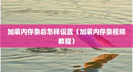 加装内存条后怎样设置（加装内存条视频教程）