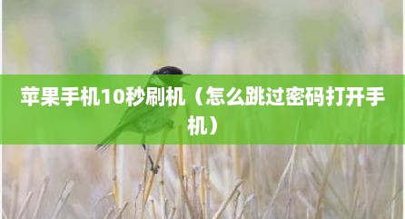 苹果手机10秒刷机（怎么跳过密码打开手机）