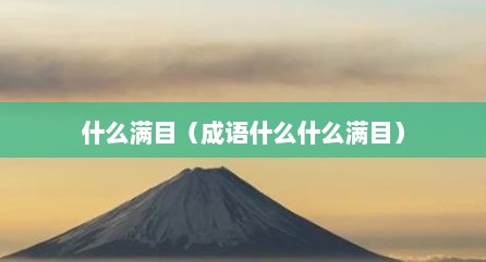什么满目（成语什么什么满目）