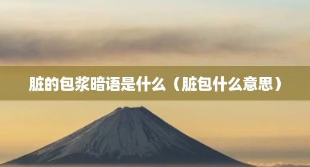 脏的包浆暗语是什么（脏包什么意思）