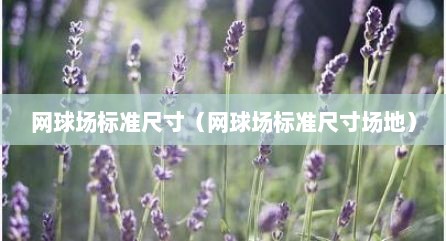 网球场标准尺寸（网球场标准尺寸场地）