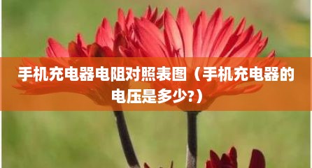 手机充电器电阻对照表图（手机充电器的电压是多少?）