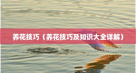 养花技巧（养花技巧及知识大全详解）