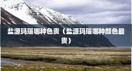 盐源玛瑙哪种色贵（盐源玛瑙哪种颜色最贵）