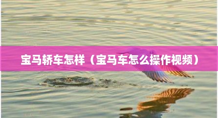 宝马轿车怎样（宝马车怎么操作视频）