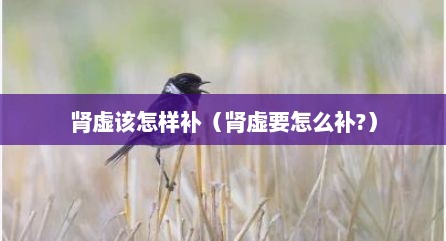 肾虚该怎样补（肾虚要怎么补?）
