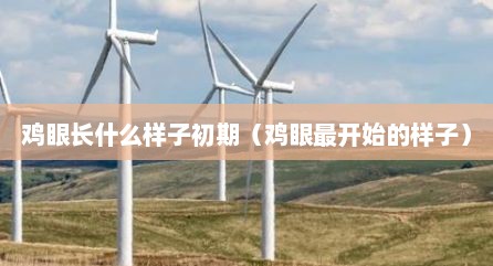 鸡眼长什么样子初期（鸡眼最开始的样子）