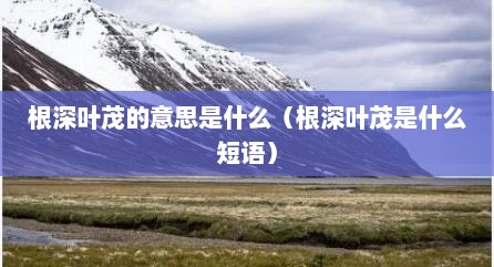 根深叶茂的意思是什么（根深叶茂是什么短语）
