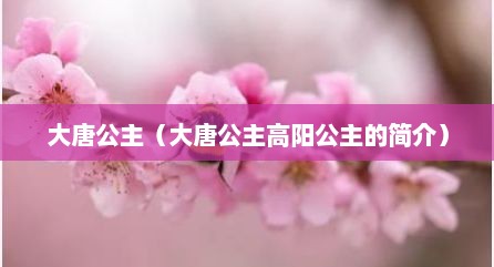 大唐公主（大唐公主高阳公主的简介）