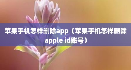 苹果手机怎样删除app（苹果手机怎样删除apple id账号）