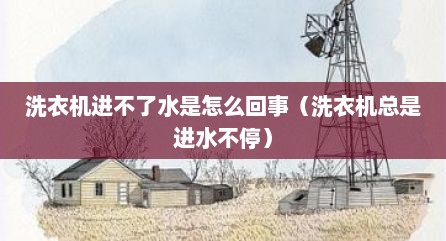 洗衣机进不了水是怎么回事（洗衣机总是进水不停）