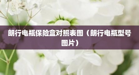 朗行电瓶保险盒对照表图（朗行电瓶型号图片）