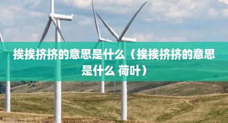 挨挨挤挤的意思是什么（挨挨挤挤的意思是什么 荷叶）