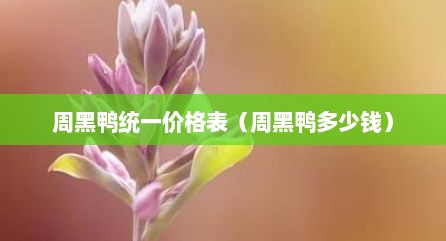 周黑鸭统一价格表（周黑鸭多少钱）