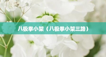 八极拳小架（八极拳小架三路）