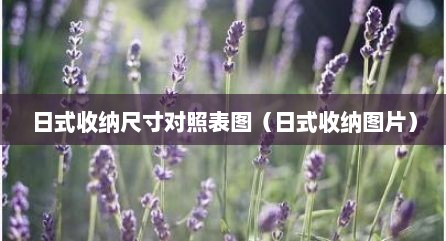 日式收纳尺寸对照表图（日式收纳图片）