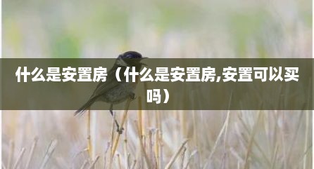 什么是安置房（什么是安置房,安置可以买吗）