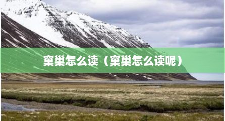 窠巢怎么读（窠巢怎么读呢）